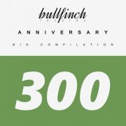 VA - Bullfinch Anniversary (2020)