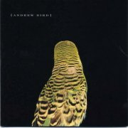 Andrew Bird - Armchair Apocrypha (2007)