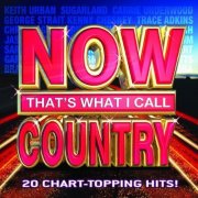 VA - Now That's What I Call Country (2008)