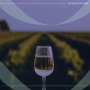 VA - Best Chillout Tasting Session (2026)