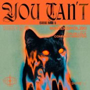 MarekSPolzki - You Can't See Me (2026)