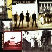 Hootie & The Blowfish - Cracked Rear View (2019) LP