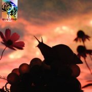 No Joy - Bugland (2025) [Hi-Res]