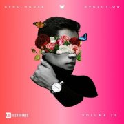 VA - Afro House Evolution, Vol. 29 (2026)