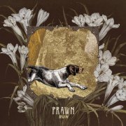 Prawn - Run (2017) Hi-Res