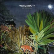 Houndstooth - Ride Out the Dark (2013)