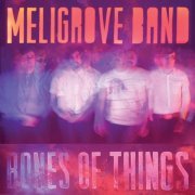 Meligrove Band - Bones of Things (2014) [Hi-Res]