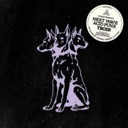 VA - Next Wave Acid Punx TROIS - Chapter 3 (2026)