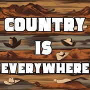 VA - Country is Everywhere (2024)