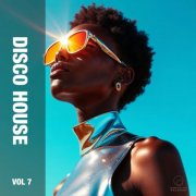 VA - Disco House Vol 7 (2025)