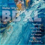 Walter White - BB XL (2020)