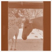 J.WLSN, Liam Keenan - Country/The Country (2026) [Hi-Res]