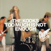 The Kooks - Too Much Is Not Enough (Deluxe) (2020)