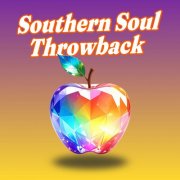 VA - Southern Soul Throwback (2025)