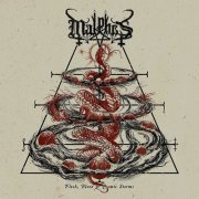 Malphas - Flesh, Blood & Cosmic Storms (2023) Hi-Res