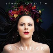 Şenay Lambaoğlu - Sığınak (2023)