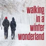 VA - walking in a winter wonderland (2025)