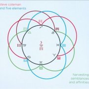 Steve Coleman and Five Elements - Harvesting Semblances and Affinities (2010) CD Rip