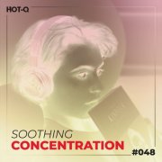 VA - Soothing Concentration 048 (2026)