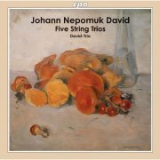 David-Trio - Johann Nepomuk David: Five String Trios (2021)