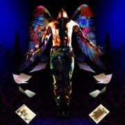 Acoustic Eclectica - Acoustic Elevation (2021) Hi-Res