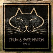 Various Artists - Drum & Bass Nation, Vol. 3 (2019) flac