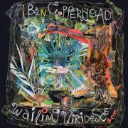 Ben Copperhead - Wailing Viridescence (2023) [Hi-Res]