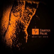 VA - Counter Pulse: Best of 2019 (2019)