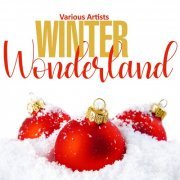 VA - Winter Wonderland (2020)