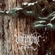 VINTERGRAV - Elderwoods (2023) [Hi-Res]