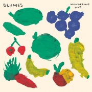 Blümes - Wondering Why (2025)