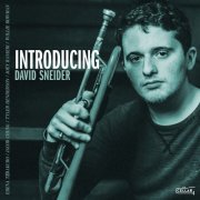 David Sneider - Introducing (2025) [Hi-Res]