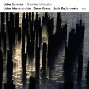 John Surman - Brewster's Rooster (2009)