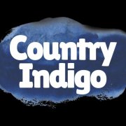 VA - Country Indigo (2025)