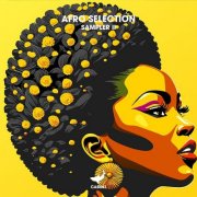 VA - Afro Selection Sampler II (2024)