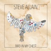 Steve Allain - Bird in My Chest (2025)