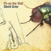 David Grier - Fly On The Wall (2014)