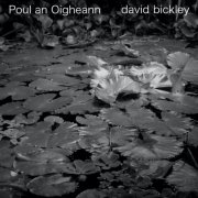 David Bickley - Poul an Oigheann (2025)