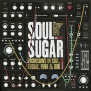 Sugar Soul - Excursions in Soul Reggae Funk & Dub (2021)