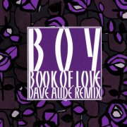 Book Of Love - Boy (Dave Audé Remix) (2026) Hi Res