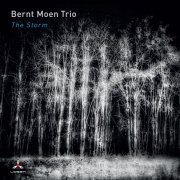 Bernt Moen Trio - The Storm (2021) Hi-Res