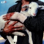 LANY - Soft 2 (2026) [Hi-Res]
