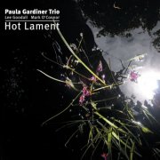 Paula Gardiner Trio, Lee Goodall, Mark O Connor - Hot Lament (2008)