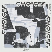 VA - Voltaire Music Pres. Choices, Vol. 13 (2024)