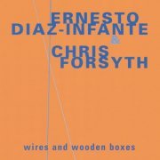 Ernesto Diaz-Infante & Chris Forsyth - Wires And Wooden Boxes (2001)