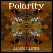 James Larter - Polarity (2022) [Hi-Res]