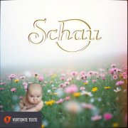 Bernd Casel - Schau (2025)