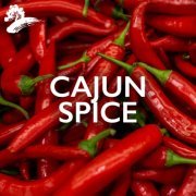 Jo-El Sonnier & Craig Duncan - Cajun Spice (2022)