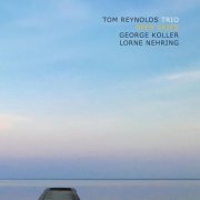 Tom Reynolds Trio - Open Skies (2021)