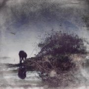 Simon Posford, Shpongle - Flux & Contemplation - Portrait of an Artist in Isolation (2020) [Hi-Res]